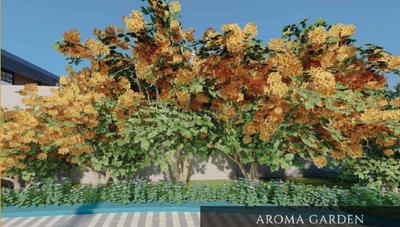 Project Image of 549.0 - 1635.0 Sq.ft Residential Plot Plot for buy in GTK Orchard Park