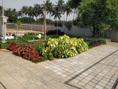 Project Image of 1864.0 - 2034.0 Sq.ft 4 BHK Villa for buy in Vertex Vista