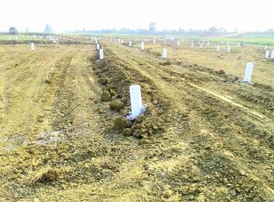 Project Image of 900.0 - 1700.0 Sq.ft Residential Plot Plot for buy in Goal Indraprastha City