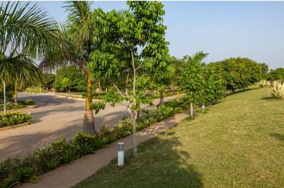 Project Image of 1006 Sq.ft Residential Plot / Land for sale in Yerthiganahalli for Rs. 10563000