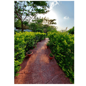 Project Image of 900.0 - 1125.0 Sq.ft Residential Plot Plot for buy in The Solitaire Valley Plots