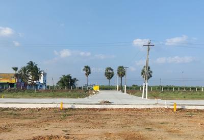 Project Images
