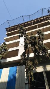 Project Image of 535.0 - 575.0 Sq.ft 2 BHK Apartment for buy in Pearl Harmony