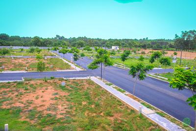 Sizzle Varada Sizzle Evergreen Elevation 3