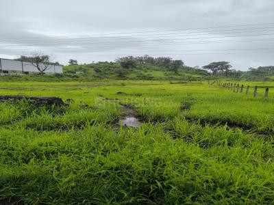 Project Image of 1000.0 - 3000.0 Sq.ft Residential Plot Plot for buy in Bhoomi Plots In Chavni