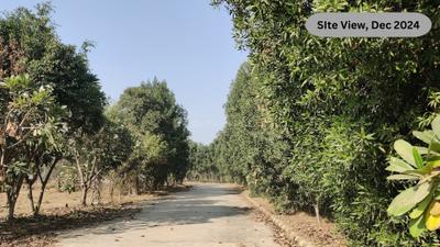 Project Image of 981.0 - 1800.0 Sq.ft Residential Plot Plot for buy in SDS NRI Township Plots