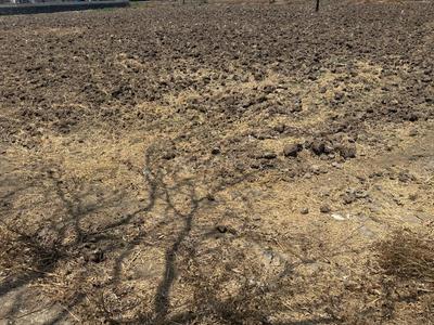 Project Image of 1000.0 - 10000.0 Sq.ft Residential Plot Plot for buy in Invest Mahamumbai Plots in Ulwe