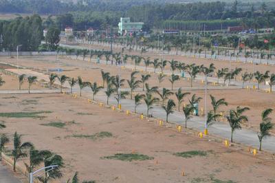 Project Image of 1503.0 - 4500.0 Sq.ft Residential Plot Plot for buy in Peram Aditya Ankura