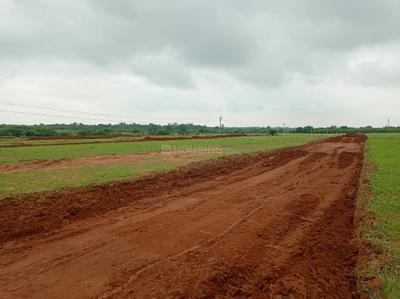 Project Image of 1319.87 - 2789.9 Sq.ft Residential Plot Plot for buy in Building True Gold 2 Phase 8