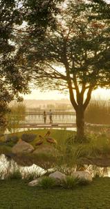 The Creek Amenities 4
