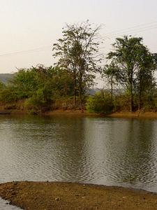 Project Image of 0.0 - 1791.98 Sq.ft Residential Plot Plot for buy in Sai Shrishti Developers Bollywood Film City