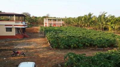 Project Image of 505 Sq.ft 1 BHK Independent House for sale in Ghadewadi for Rs. 6000000