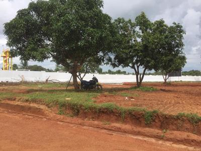 Project Image of 1503.0 - 2997.0 Sq.ft Residential Plot Plot for buy in Siri Venkateswara Alluris Nandanavanam