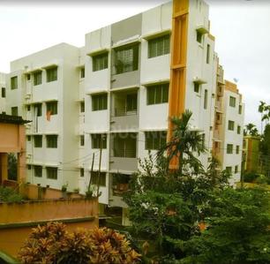 Pacific Dale Elevation 2