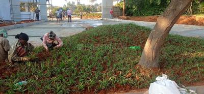 Project Image of 1199.96 - 3091.0 Sq.ft Residential Plot Plot for buy in Total Classic Canaan