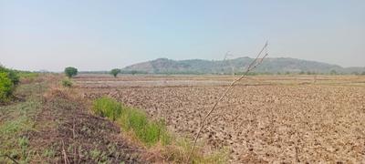 Plot Wale Belondekhar Plot 2