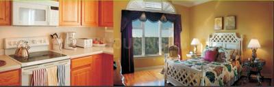 Project Image of 543.0 - 613.0 Sq.ft 2 BHK Apartment for buy in Sai Ganga