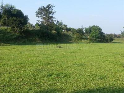 Project Image of 5000.0 - 6000.0 Sq.ft Residential Plot Plot for buy in Greater Farm Casa