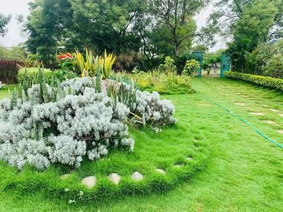 Project Image of 1089.0 - 4500.0 Sq.ft Residential Plot Plot for buy in Maalavika Brindavanam