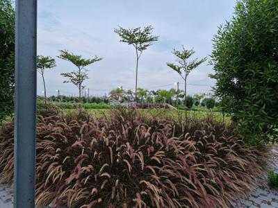 Project Image of 800.0 - 4500.0 Sq.ft Residential Plot Plot for buy in Silicon Sansaara