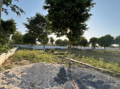 Project Image of 900.0 - 5400.0 Sq.ft Residential Plot Plot for buy in Royal Green Farms