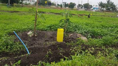 Project Image of 1350.0 - 2160.0 Sq.ft Residential Plot Plot for buy in Suven Urban Exotica