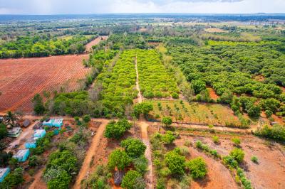 Project Image of 9594.0 - 13838.0 Sq.ft Residential Plot Plot for buy in Banyan Red Soil Mango Farms