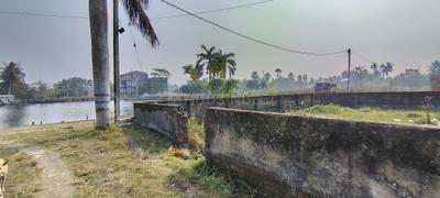 Project Image of 1440 Sq.ft Residential Plot / Land for sale in Uttar Gauripur for Rs. 600006