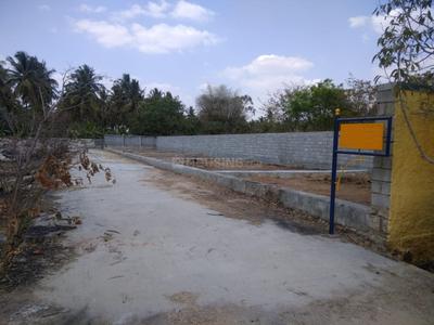 Project Image of 1200.0 - 2618.0 Sq.ft Residential Plot Plot for buy in AR North Meadows