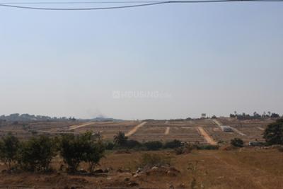 Project Image of 1200.0 - 5000.0 Sq.ft Residential Plot Plot for buy in AVS De Flora