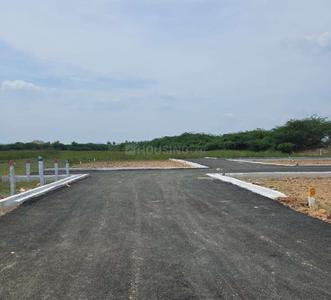 Project Images