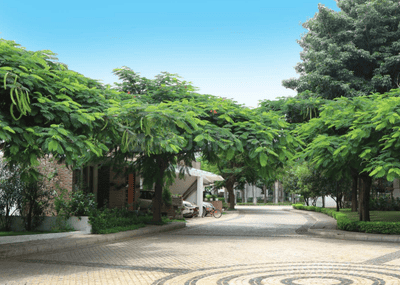 Project Image of 2610.0 - 4035.0 Sq.ft 3 BHK Villa for buy in Sterling Villa Grande 1