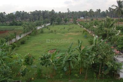 Project Image of 810.0 - 6760.0 Sq.ft Residential Plot Plot for buy in Legend Crest Phase 2