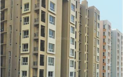 Project Image of 570.46 - 790.91 Sq.ft 2 BHK Apartment for buy in Siddha Hans