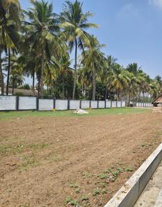 Project Image of 1083.0 - 2405.0 Sq.ft Residential Plot Plot for buy in KRK Guha Paradise