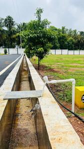 Project Image of 416.0 - 2717.0 Sq.ft Residential Plot Plot for buy in Oak Tree