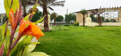 Project Image of 1200 Sq.ft 2 BHK Independent House for sale in Kachana for Rs. 4051000