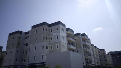 Project Image of 555.0 - 1717.0 Sq.ft 1 BHK Apartment for buy in Navins Springfield