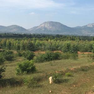 Project Image of 1200.0 - 2400.0 Sq.ft Residential Plot Plot for buy in Esteem Misty Hills