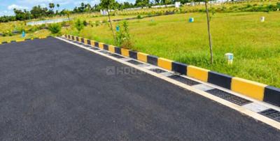Project Images