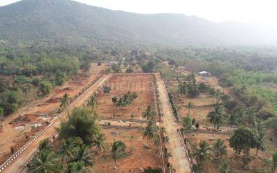 Project Image of 899.97 - 8999.92 Sq.ft Residential Plot Plot for buy in Dharuka Dhatri Vanam