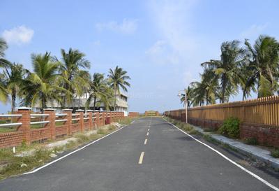 Project Image of 4440.0 - 9500.0 Sq.ft Residential Plot Plot for buy in Olive Island