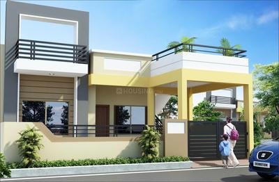 Project Images