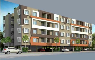 Project Images