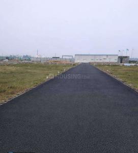 Project Images