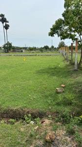 Project Image of 640.0 - 2280.0 Sq.ft Residential Plot Plot for buy in Dhilli KCR Nagar