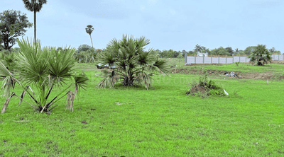 Project Image of 1071.44 - 9285.7 Sq.ft Residential Plot Plot for buy in Birla Mrida