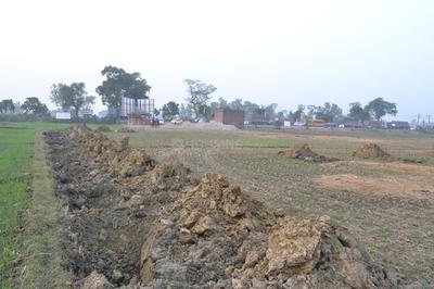 Project Image of 800.0 - 3200.0 Sq.ft Residential Plot Plot for buy in Shine Xhevahire City