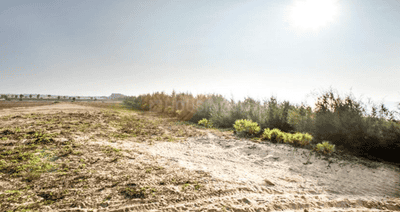 Project Image of 4248.0 - 39321.0 Sq.ft Residential Plot Plot for buy in Radiance Marina