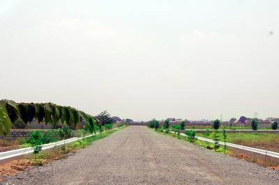 Project Image of 0.0 - 1799.94 Sq.ft Residential Plot Plot for buy in S Homes Orchid
